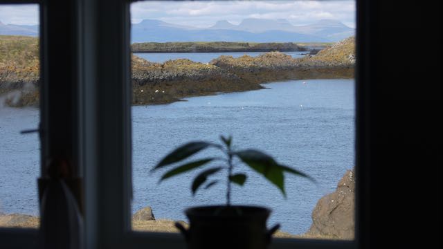 Article : Un peu d&rsquo;anti-américanisme primaire